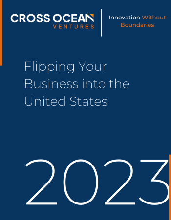 Flipping Your Business into the United States