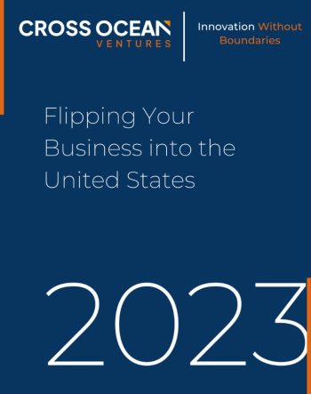 flipping_your_business